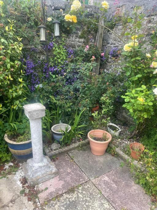 Ivybridge Cottage Esterno foto